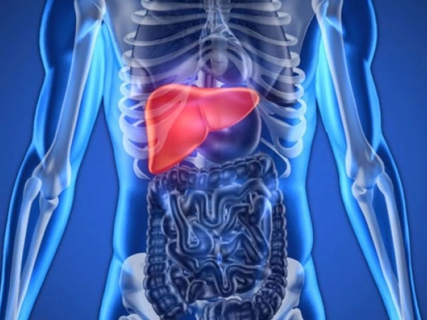 Dra. Viridiana Rodríguez Granados Especialista en Gastroenterología y Hepatología