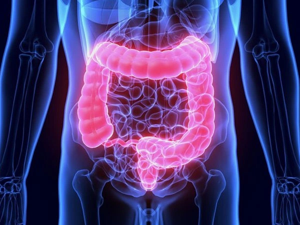 Dra. Viridiana Rodríguez Granados Especialista en Gastroenterología y Hepatología